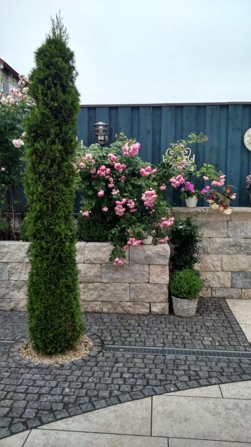 Pension Dorfstrasse 6 Stetten  المظهر الخارجي الصورة